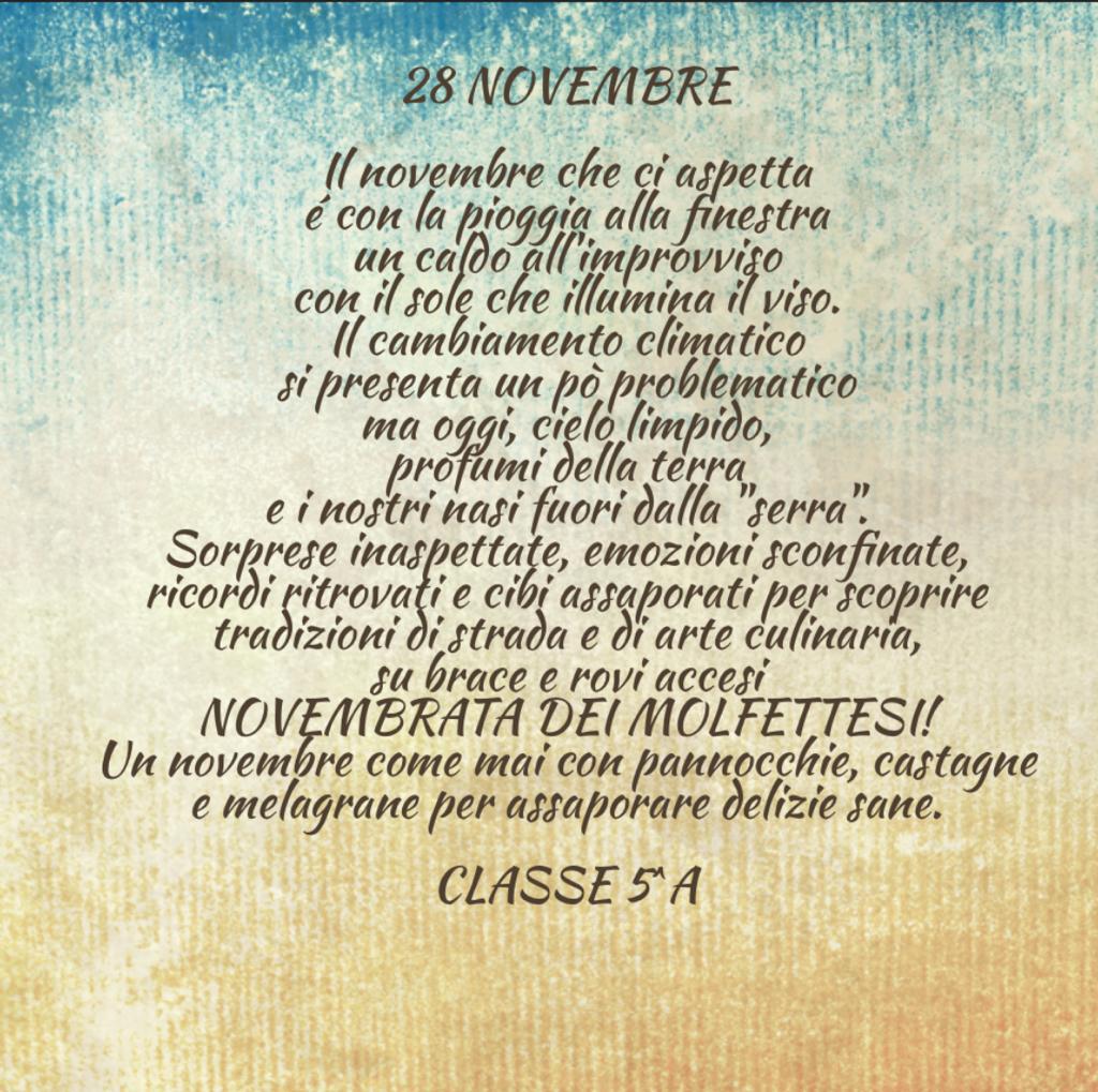 Testo poesia 28 novembre