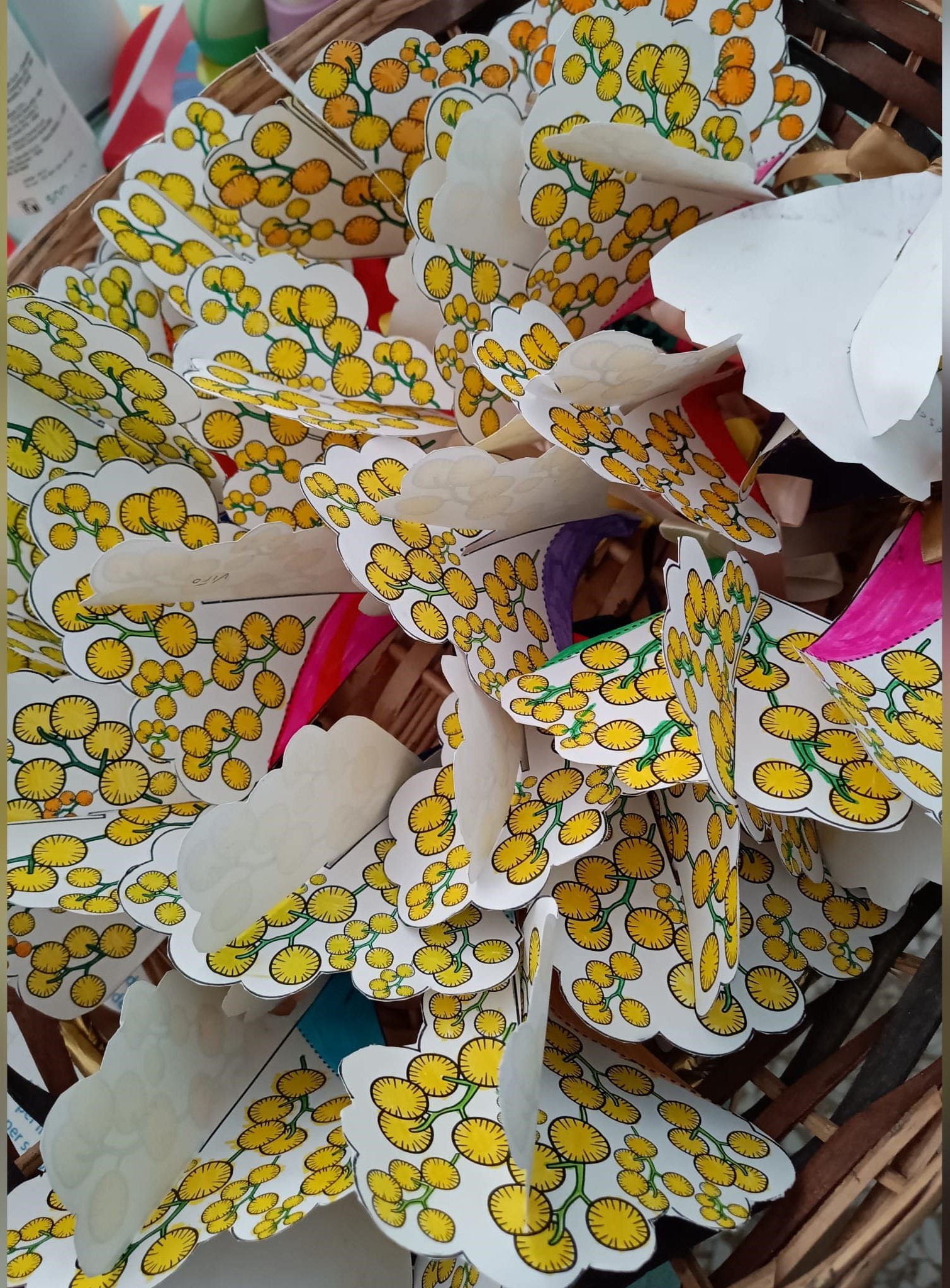 Una mimosa per la donna