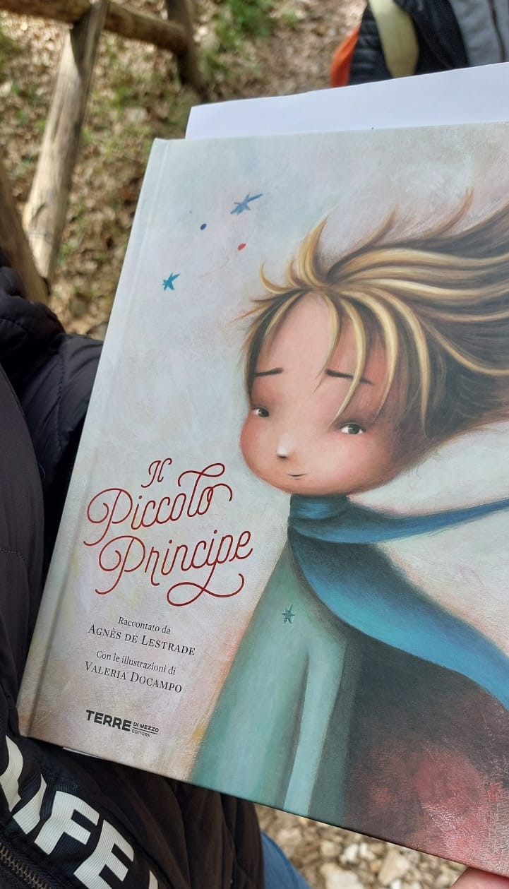 libro piccolo principe