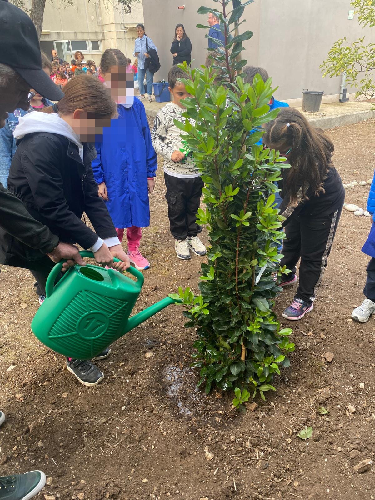 Alunni innaffiano albero