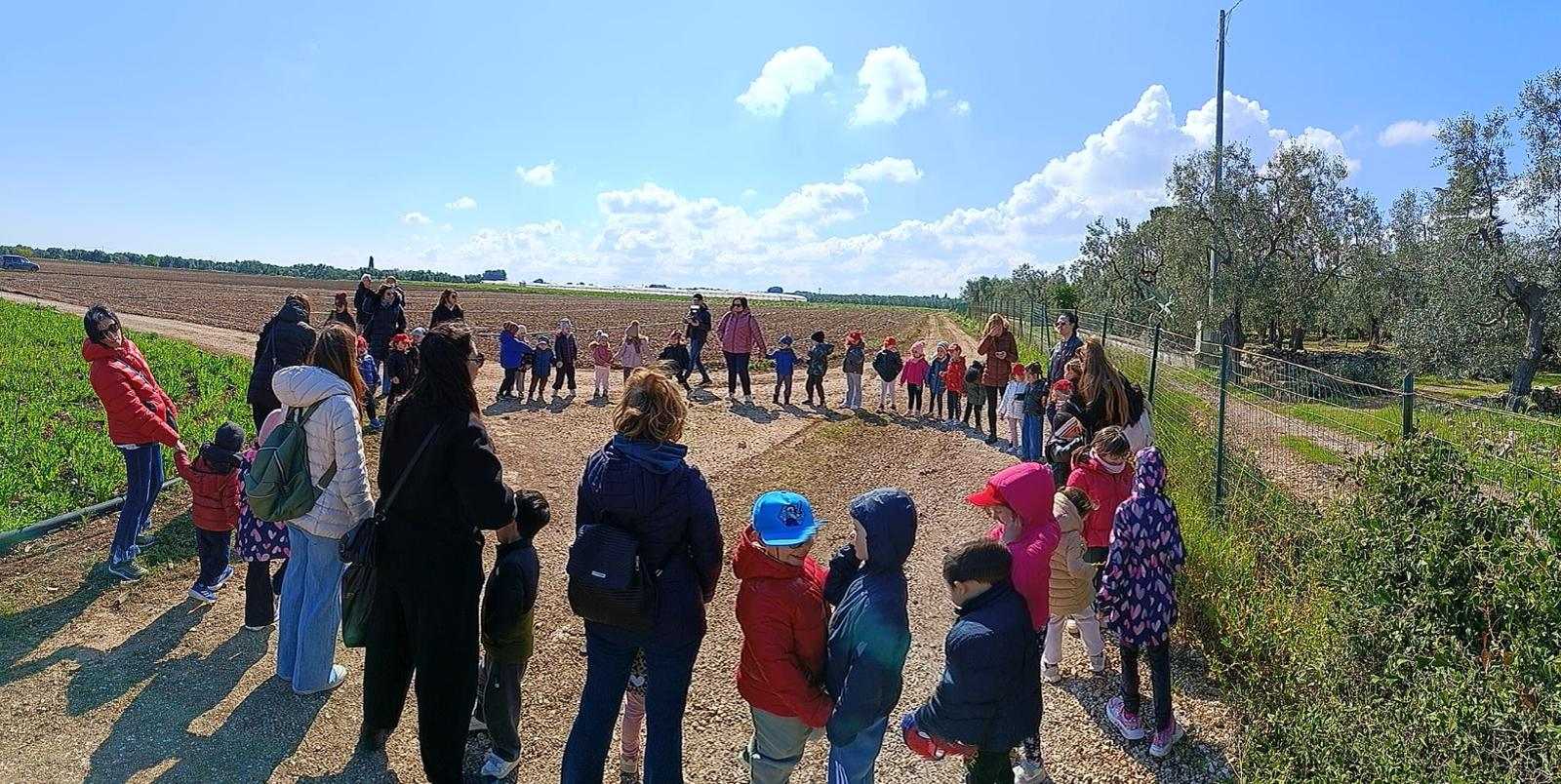 Foto di gruppo Cicoria puntarella 
