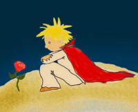 piccolo principe